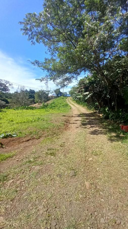 Finca Pantera Hotel Monteverde Luaran gambar