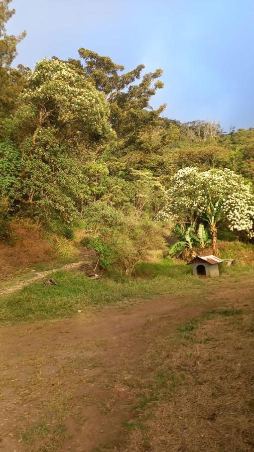 Finca Pantera Hotel Monteverde Luaran gambar