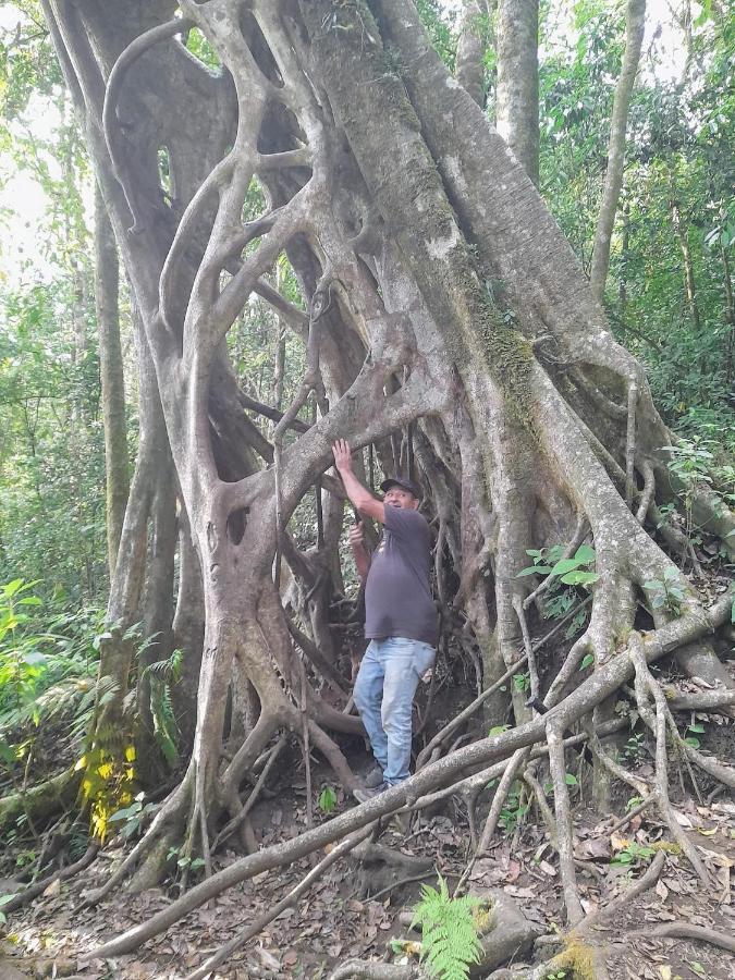 Finca Pantera Hotel Monteverde Luaran gambar